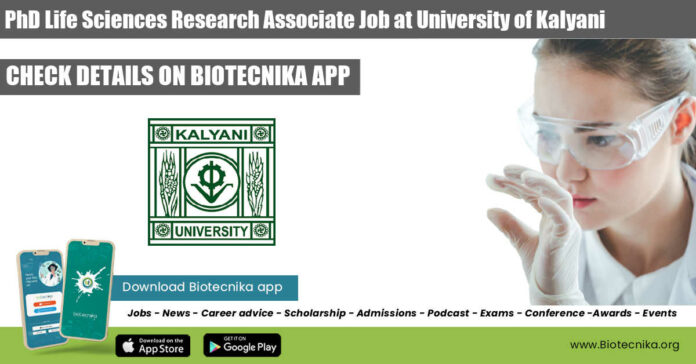 PhD Life Sciences Research