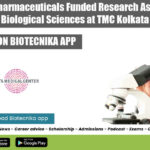 Research Assistant Job