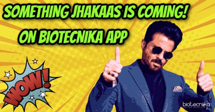 Something Jhakaas Is Coming
