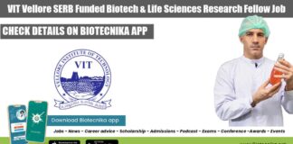 VIT Vellore Recruitment