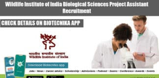 WII Project Assistant Recruitment