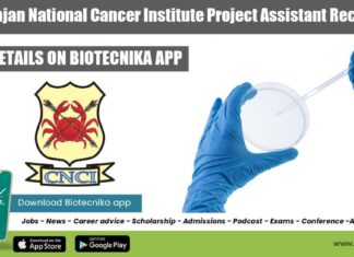 CNCI Project Assistant Job