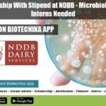 Freshers Internship at NDDB