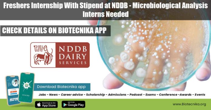 Freshers Internship at NDDB