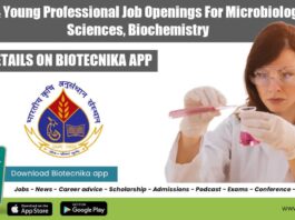 IARI JRF & Young Professional Job