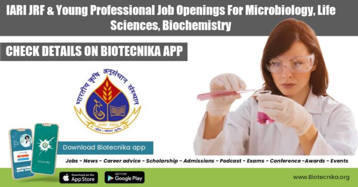 IARI JRF & Young Professional Job