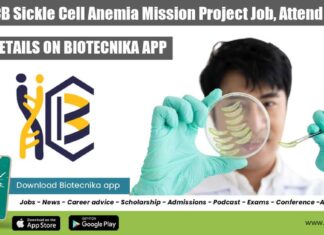 IICB Project Associate Vacancy Available