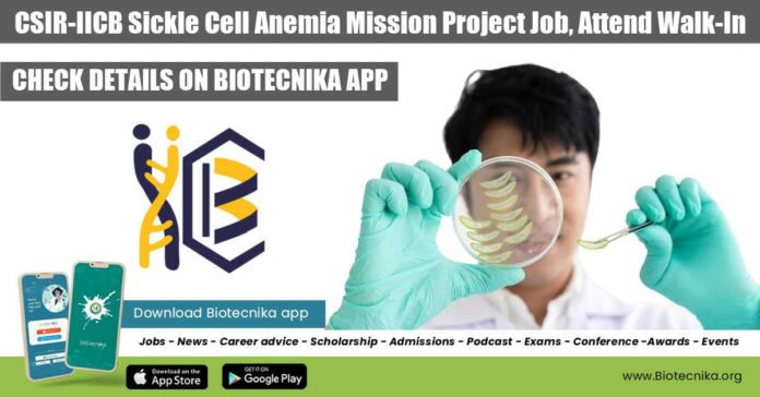 IICB Project Associate Vacancy Available