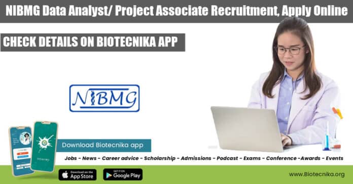 NIBMG Data Analyst Job