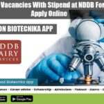 Paid Internship Vacancies India