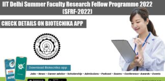 Summer Faculty Research Fellow