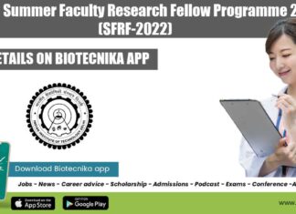 Summer Faculty Research Fellow