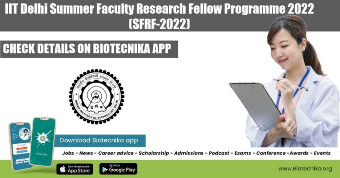 Summer Faculty Research Fellow