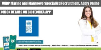 UNDP Jobs New Delhi