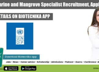 UNDP Jobs New Delhi