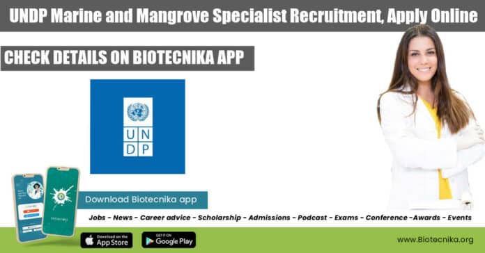 UNDP Jobs New Delhi