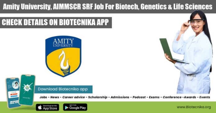 AIMMSCR SRF Job