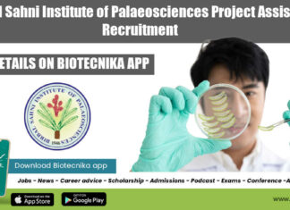 BSIP Research Job