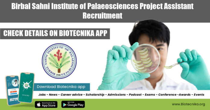 BSIP Research Job
