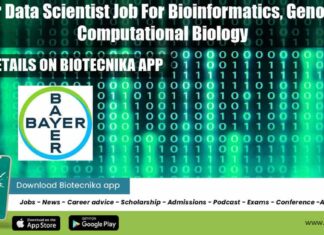 Bayer Data Scientist Job