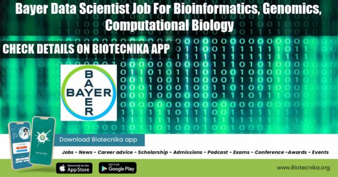 Bayer Data Scientist Job