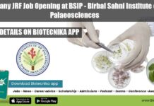 Botany JRF Job Opening at BSIP – Birbal Sahni Institute of Palaeosciences Botany JRF Job Opening