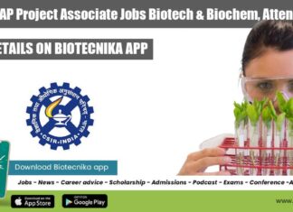 CIMAP Project Associate Jobs