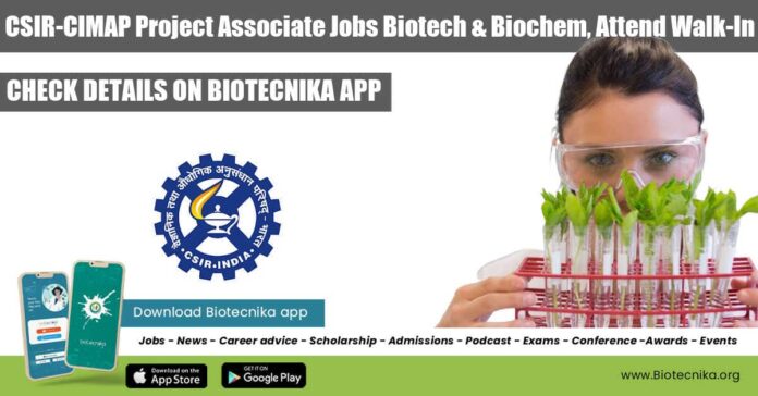CIMAP Project Associate Jobs