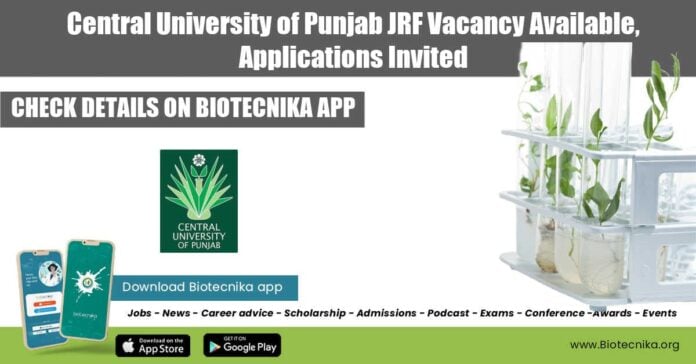 CUP Research Vacancy