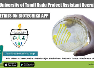 CUTN Project Assistant Job