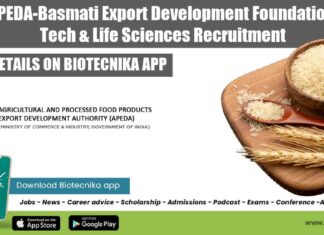 Govt APEDA-Basmati Export Development Foundation