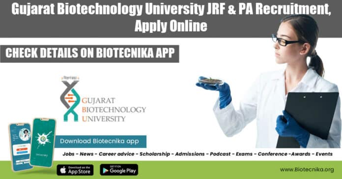 Gujarat Biotechnology University Job
