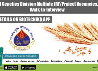 IARI Plant Breeding Jobs