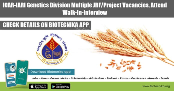 IARI Plant Breeding Jobs
