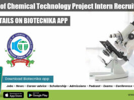 ICT Freshers Intern Jobs