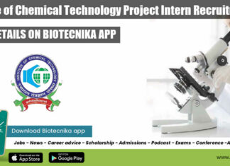 ICT Freshers Intern Jobs