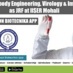Work In Antibody Engineering, Virology & Immunology as JRF at IISER Mohali IISER Mohali Vacancy 2022