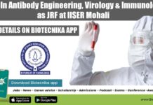 Work In Antibody Engineering, Virology & Immunology as JRF at IISER Mohali IISER Mohali Vacancy 2022