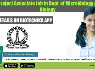 IISc Project Associate Job