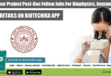 IIT Kanpur Project Post-Doc Fellow Jobs For Biophysics, Immunology IIT Kanpur Jobs 2022