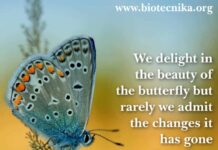 Biotecnika Times 30.03.2022 Newsletter Govt Silk Board Jobs, Govt APEDA Hiring, CBMR