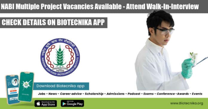NABI Multiple Project Vacancies Available