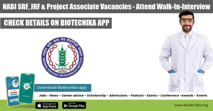 NABI Vacancies Available