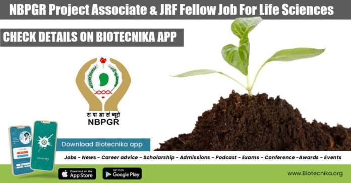 NBPGR Project Associate