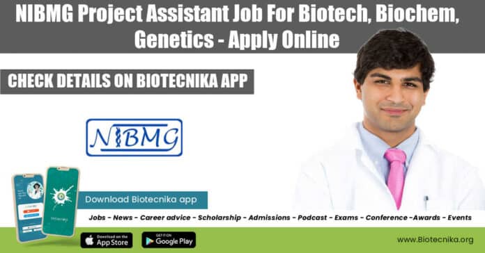 NIBMG Assistant Job Recruitment