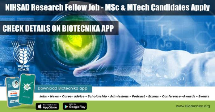NIHSAD Research Fellow Job