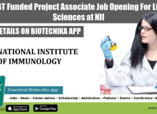NII Project Vacancy Available