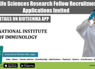 NII Vacancy For SRF