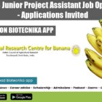 NRCB Junior Project Assistant Job
