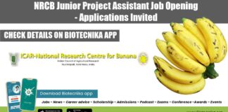NRCB Junior Project Assistant Job